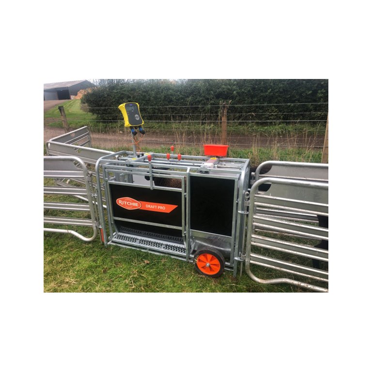 Ritchie Draft Pro 3 Aniaml Weigher ideal for weighing sheep, lamb and pigs