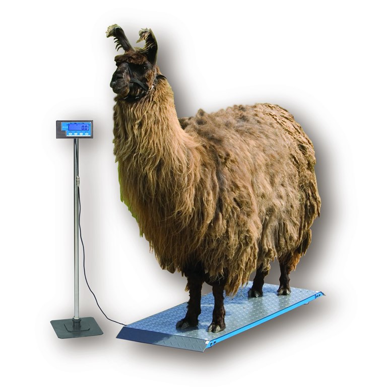 Salter Brecknell PS1000 Alpaca Llama Scale with optional floor standing display