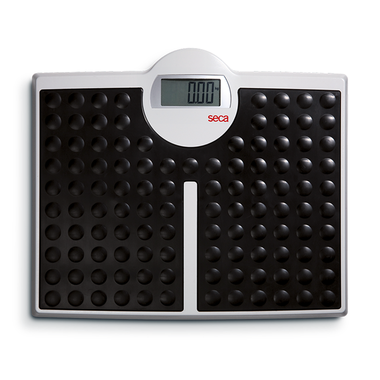 Seca 813 Robusta Personal Flat Scale