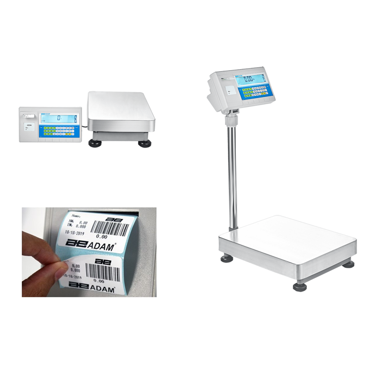 Adam BCT Bench & Floor Scales