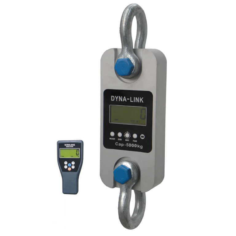 Everight DL-W-1-380 Wireless Dynamometer