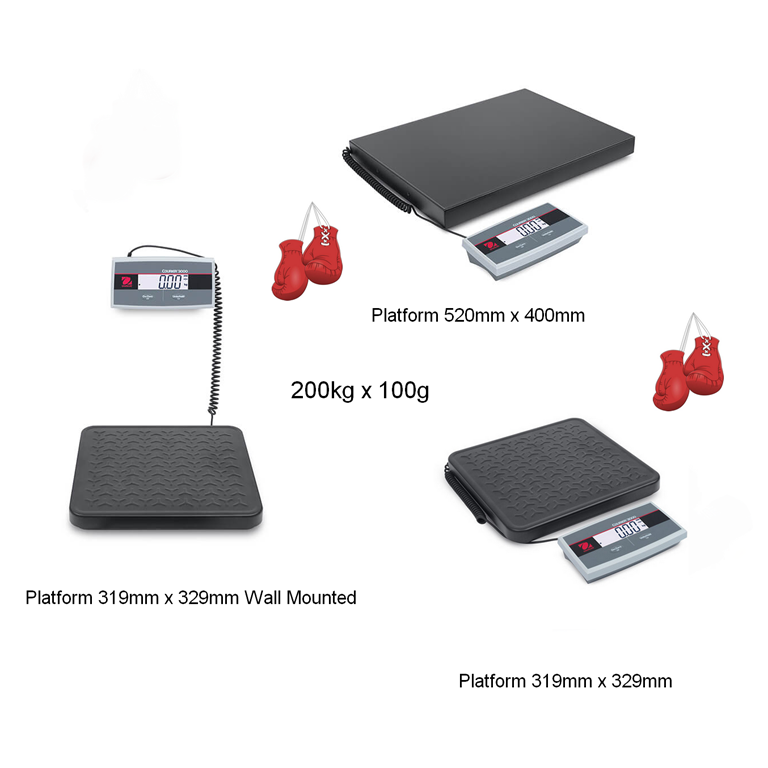 Professional 3000 Boxing Scales