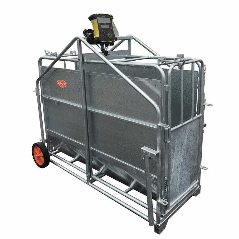 Ritchie-345GE-Calf-Weighing-Crate
