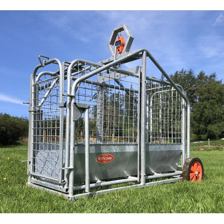 Ritchie 3663G Pig and Lamb Weigher