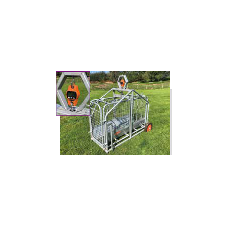 Ritchie 3663G Pig and Lamb Weigher