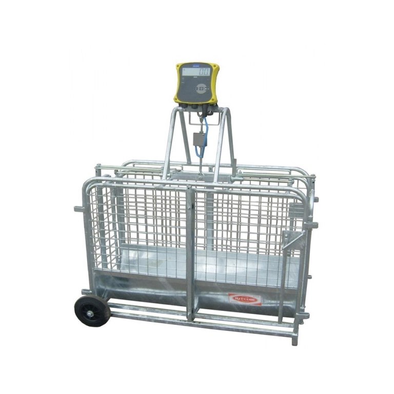Ritchie-661G-Lamb-Weigher