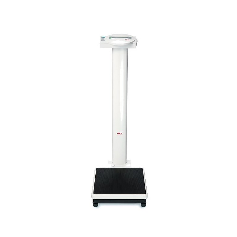 Seca 799 Column Scale