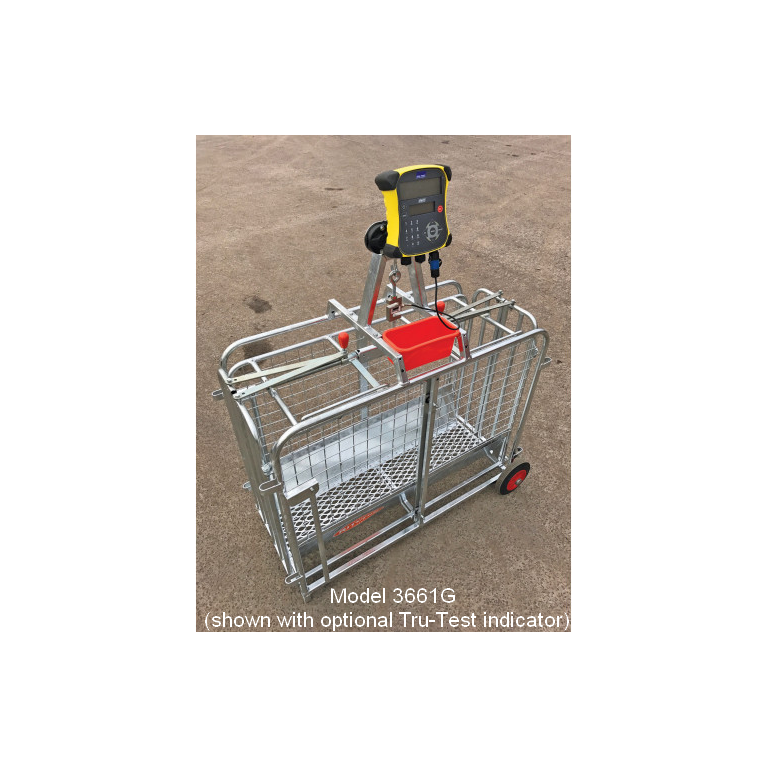 Tru-Test Digital Lamb Weigher