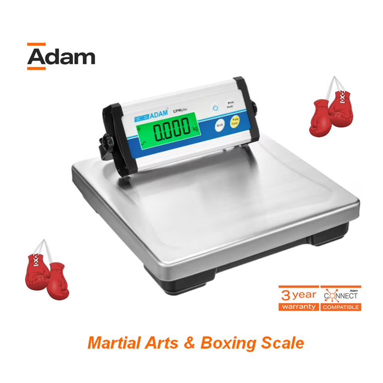AE Professional Boxing Scale