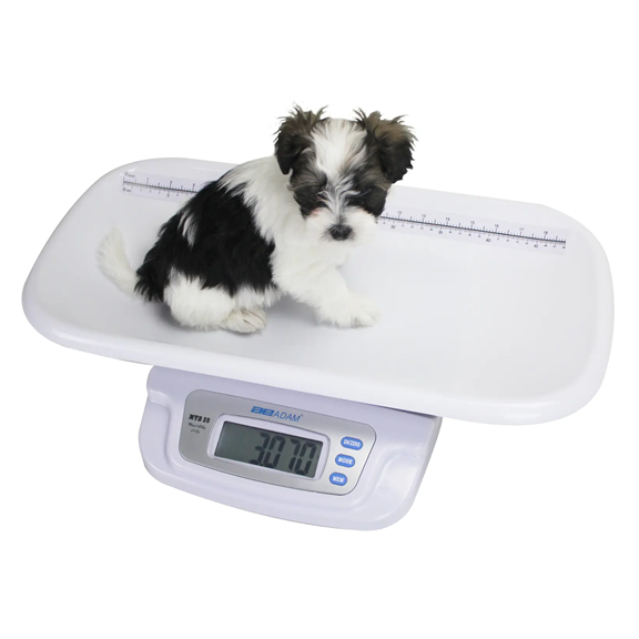 Courier - ideal pet weighing scales to keep your pets healthy