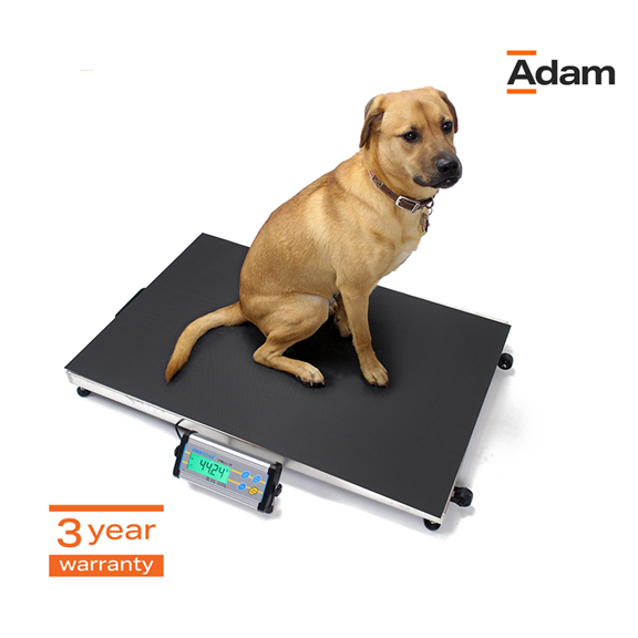 Best Selling Product Image