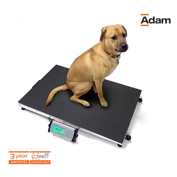 Best Selling Product Image