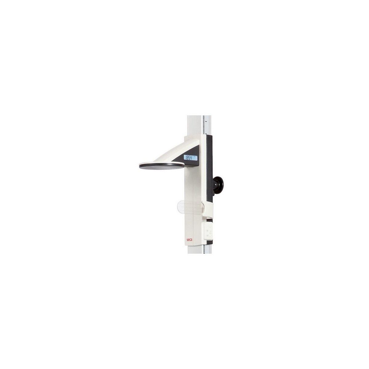 Seca 264 Wireless Stadiometer | Oakleyweigh