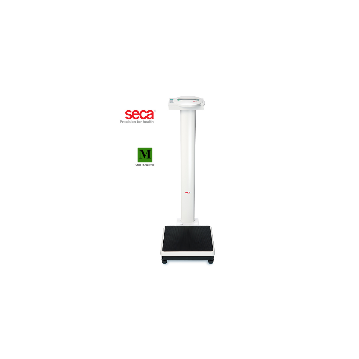 Seca 799 Column Scale (200kg x 100g/200g) | Oakleyweigh